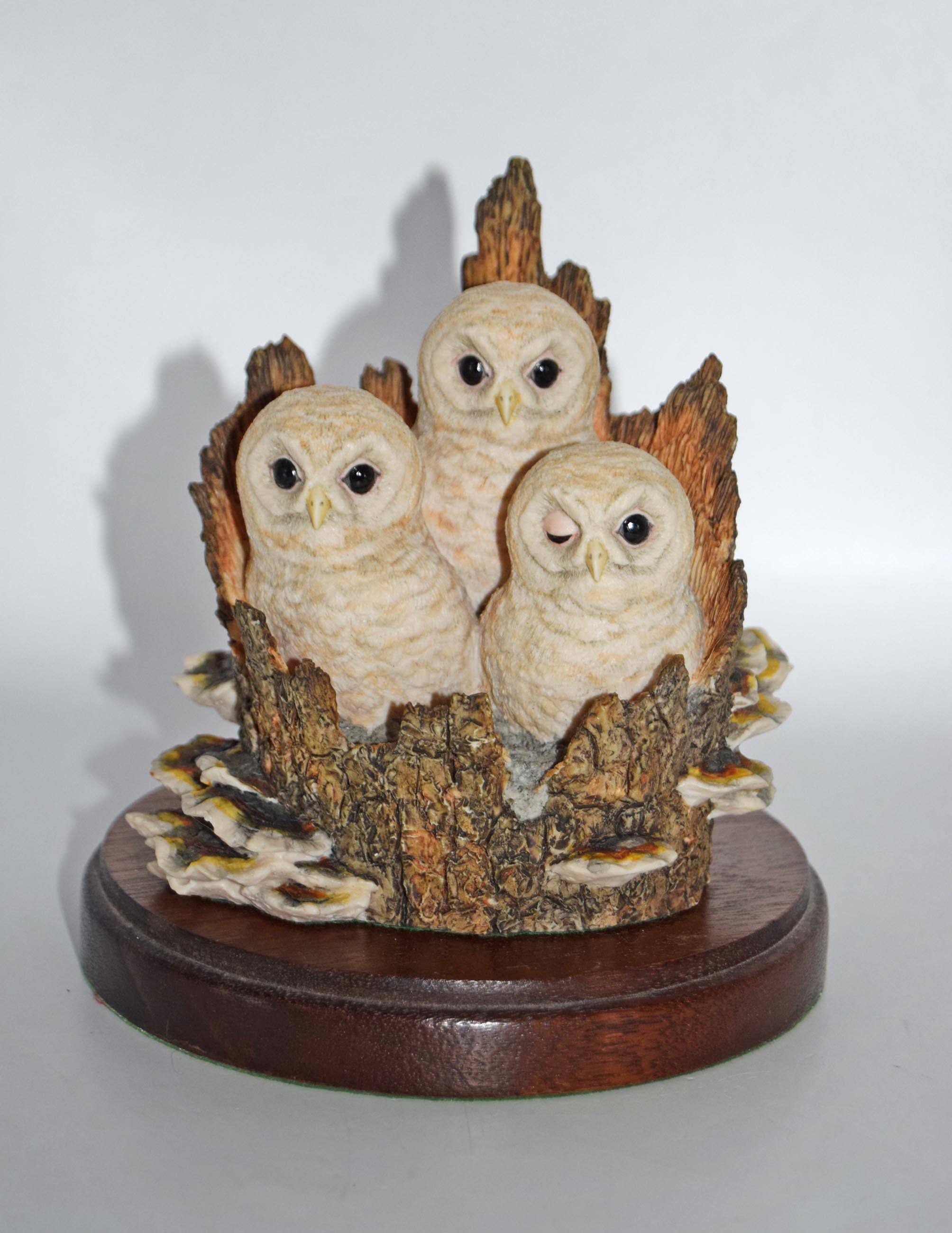 Border Fine Arts White Owl Chicks from the Pets With Personality Collection