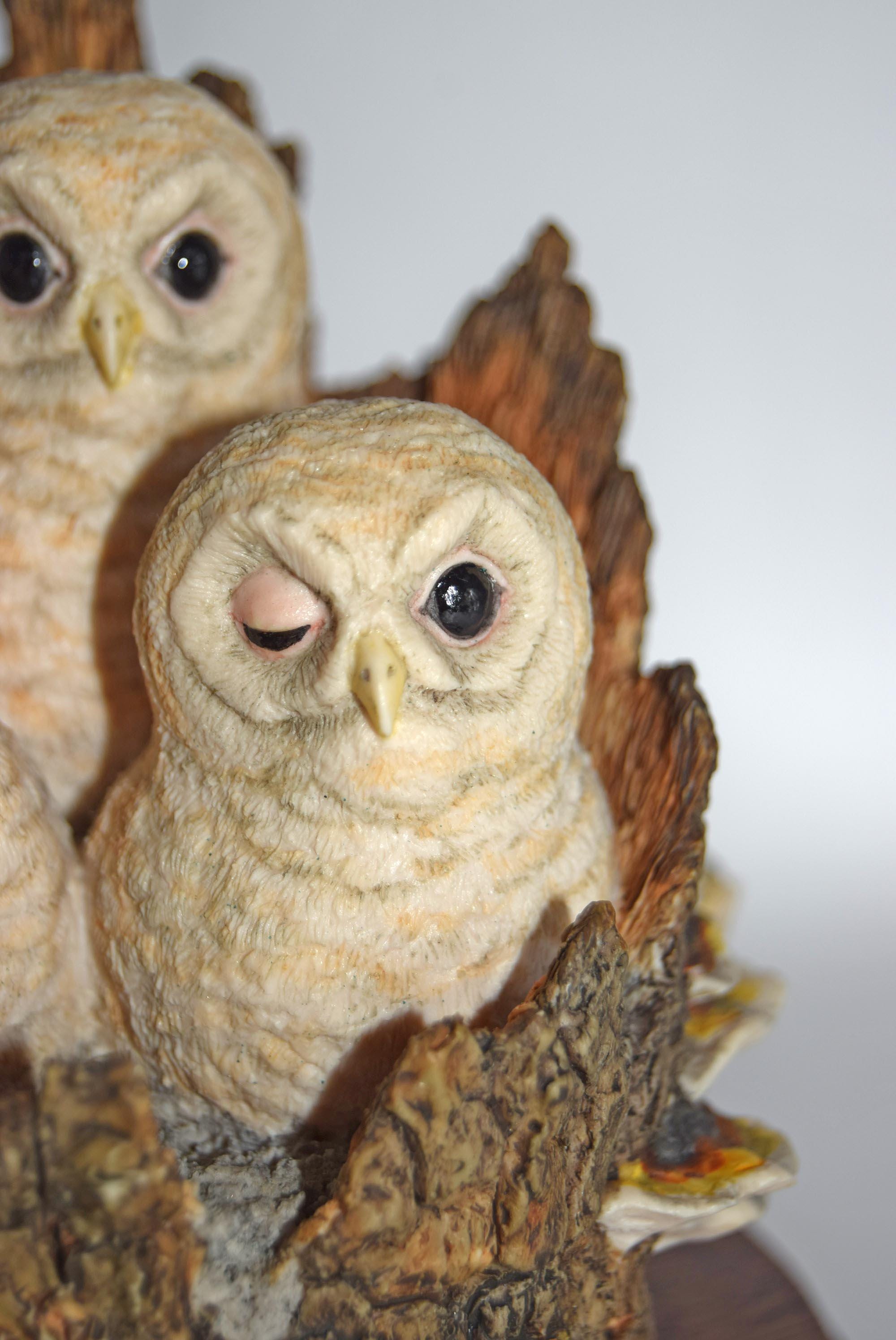 Border Fine Arts White Owl Chicks from the Pets With Personality Collection