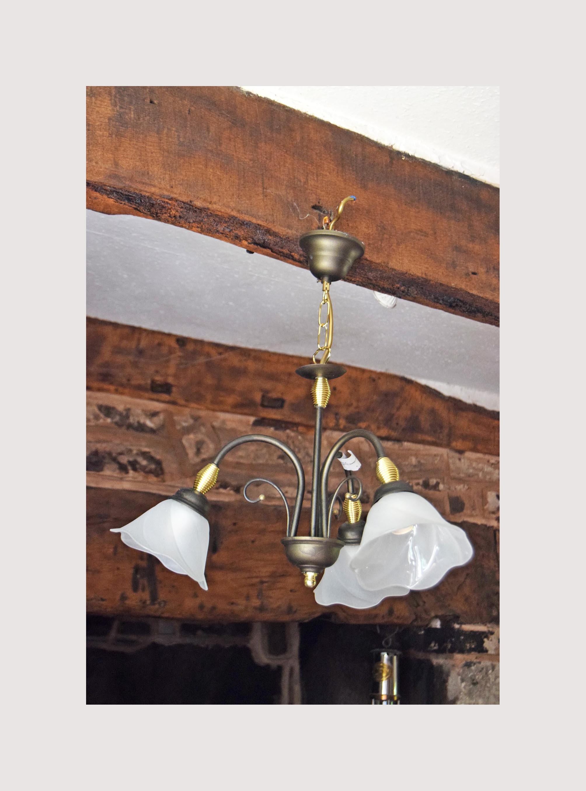 Vintage Tulip Chandelier: Frosted Glass & Brass Accent - Retro Light