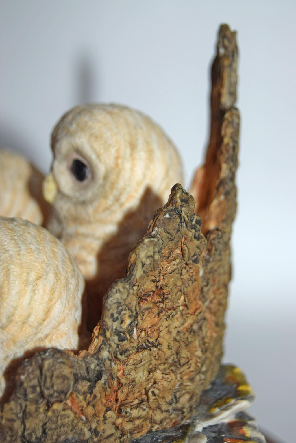 Border Fine Arts White Owl Chicks from the Pets With Personality Collection