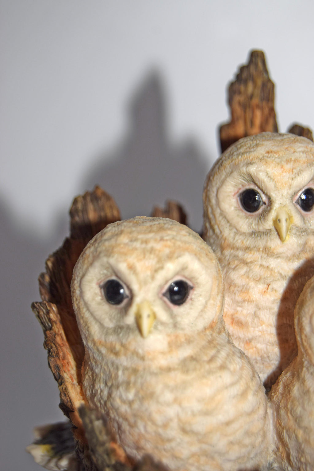 Border Fine Arts White Owl Chicks from the Pets With Personality Collection
