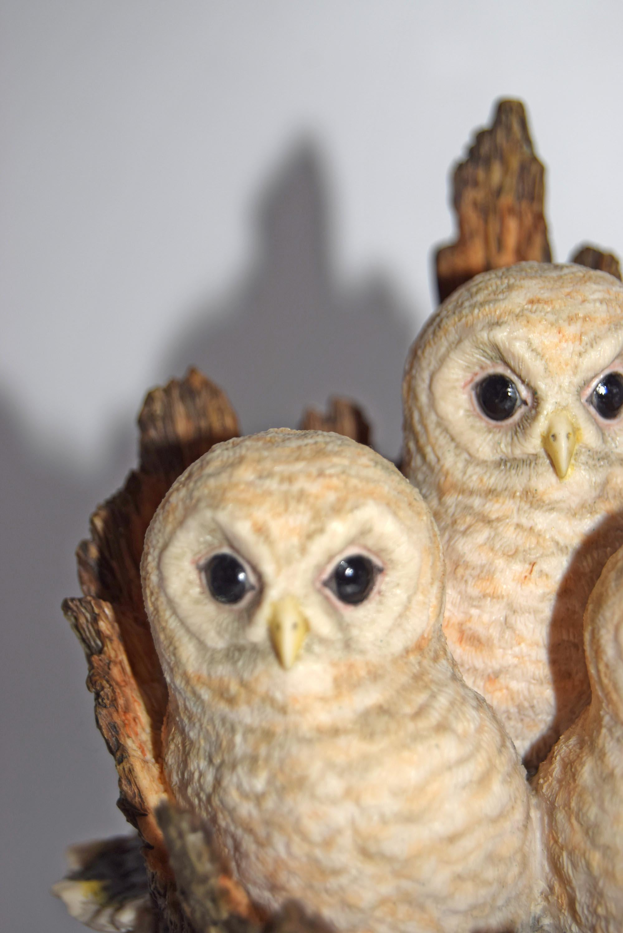 Border Fine Arts White Owl Chicks from the Pets With Personality Collection