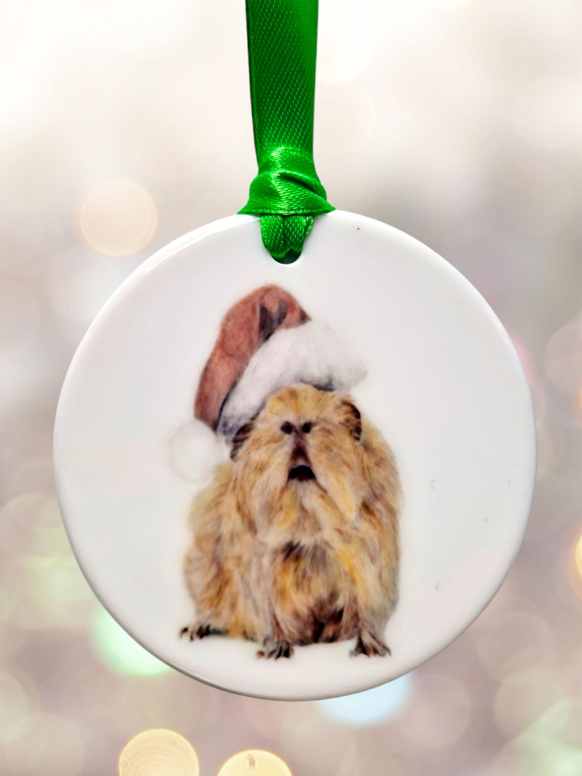 Ceramic disc decorations by Jess Harris, Pet and Portrait Artist. Animal Characters