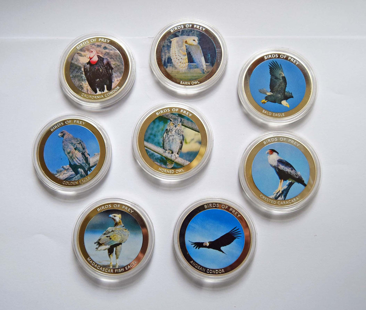 Nine circular bird-themed collectible coins or medallions in clear protective cases, arranged on a plain white background. Each coin features a different bird illustration with gold-toned borders and text such as 'Birds of Prey' and species names including Puff Adder, Red Kite, and Eagle.